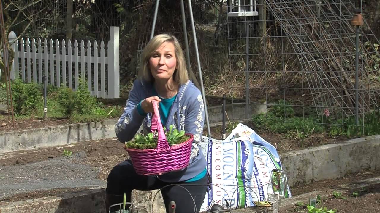 Cool Season Gardening