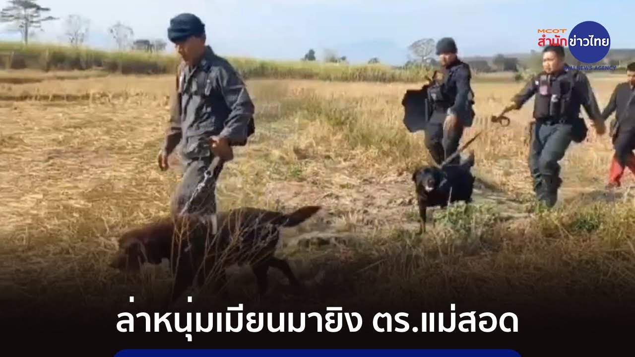 ระดมกำลังล่าหนุ่มเมียนมายิงดาบตำรวจแม่สอด