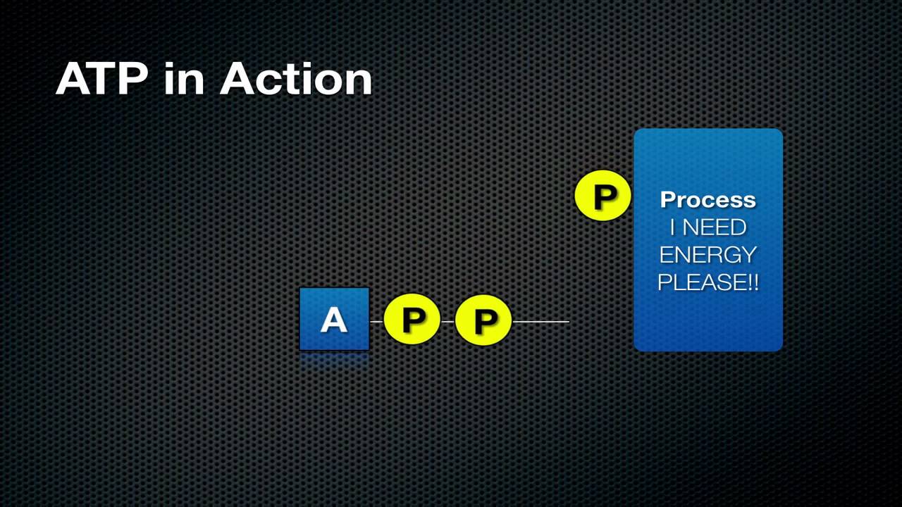 003 Что такое АТФ и как он работает