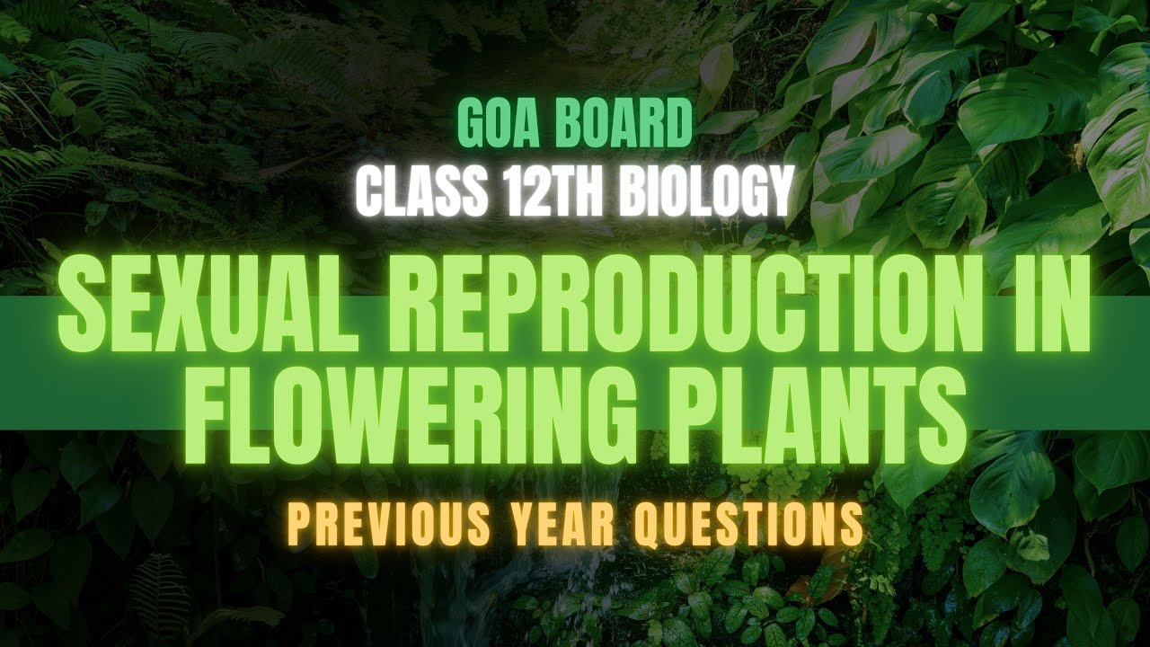 Ace Your Exams | PYQ Discussion on Sexual Reproduction in Flowering Plants
