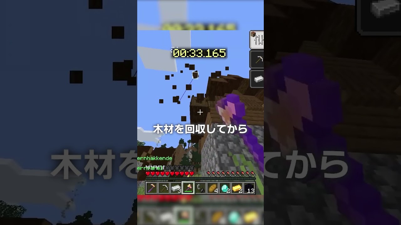 【世界記録...】エンドラRTA史上最大の悲劇【マイクラ豆知識 解説 裏技】