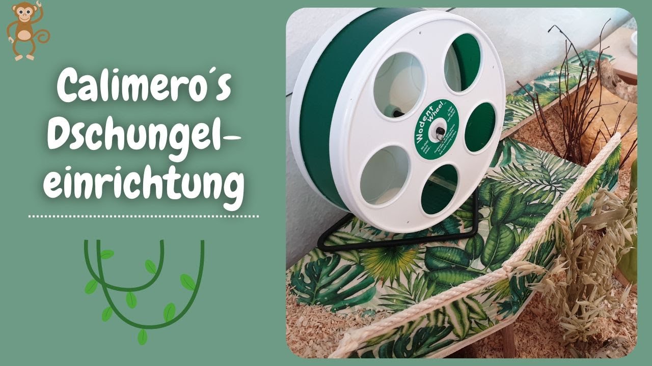Calimero's Dschungeleinrichtung ♥ Gehegeupdate Hamster | Nana