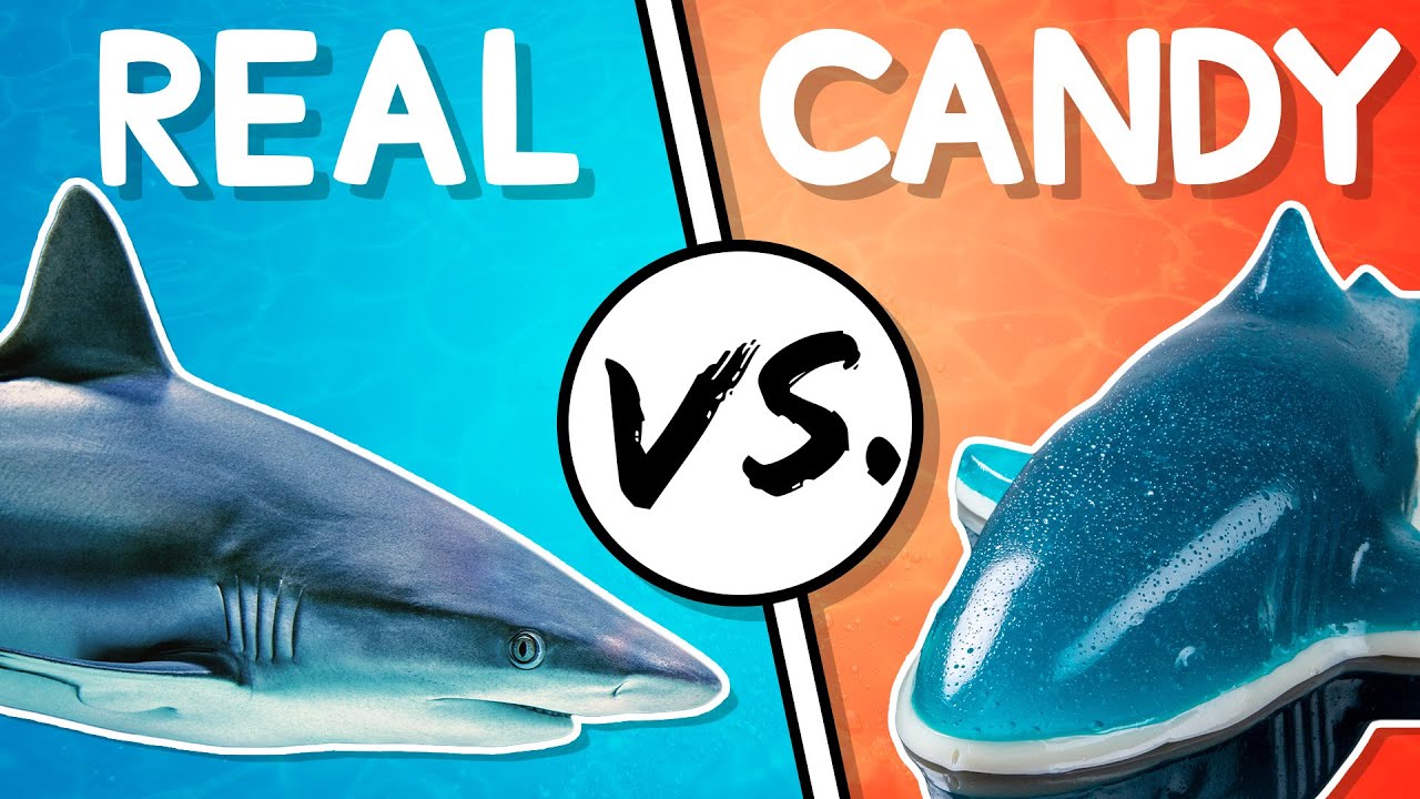 We Try the Ultimate Real vs Candy Challenge