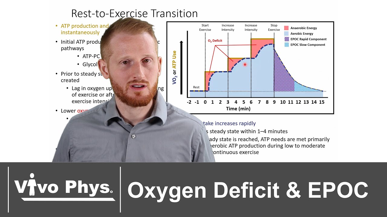 Oxygen Deficit and Excess Post Exercise Oxygen Consumption EPOC - VO2 Kinetics