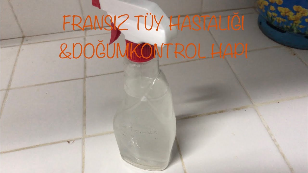 FRANSIZ TÜH HASTALIĞI (FRENCH MOLT) DOĞUM KONTROL HAPI İLE TEDAVİSİ