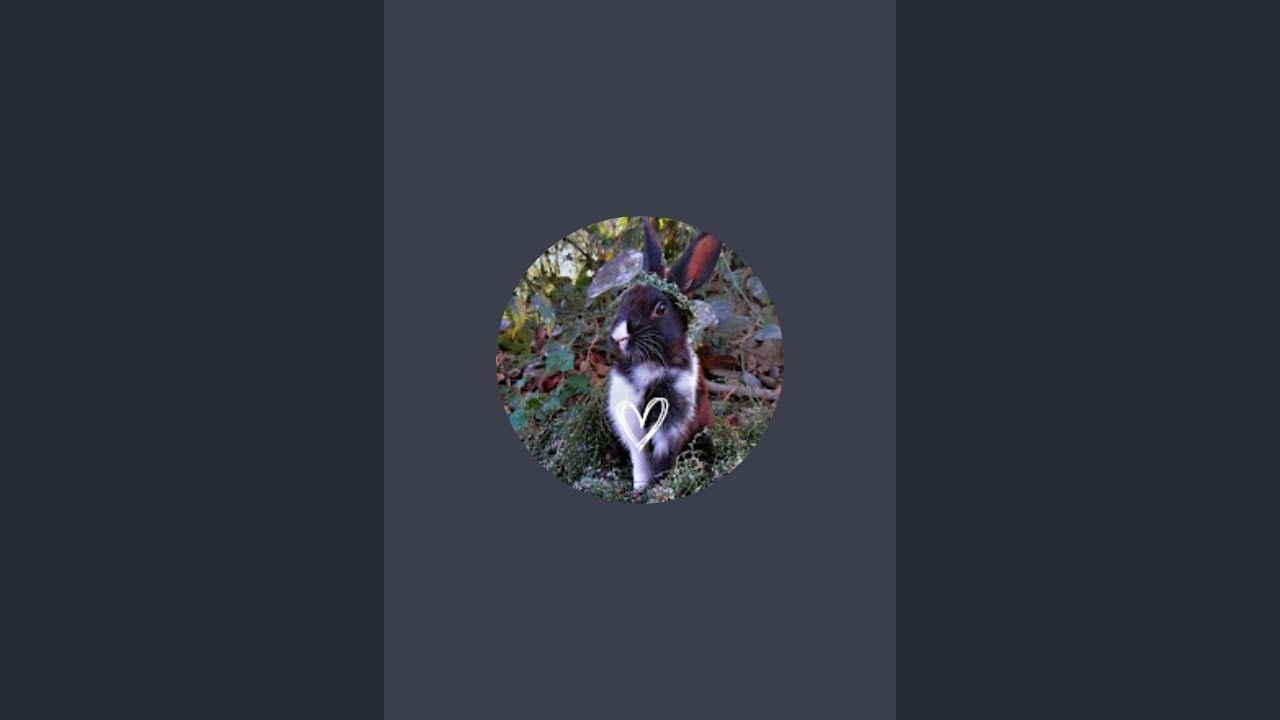 Padma Mishra  is live!