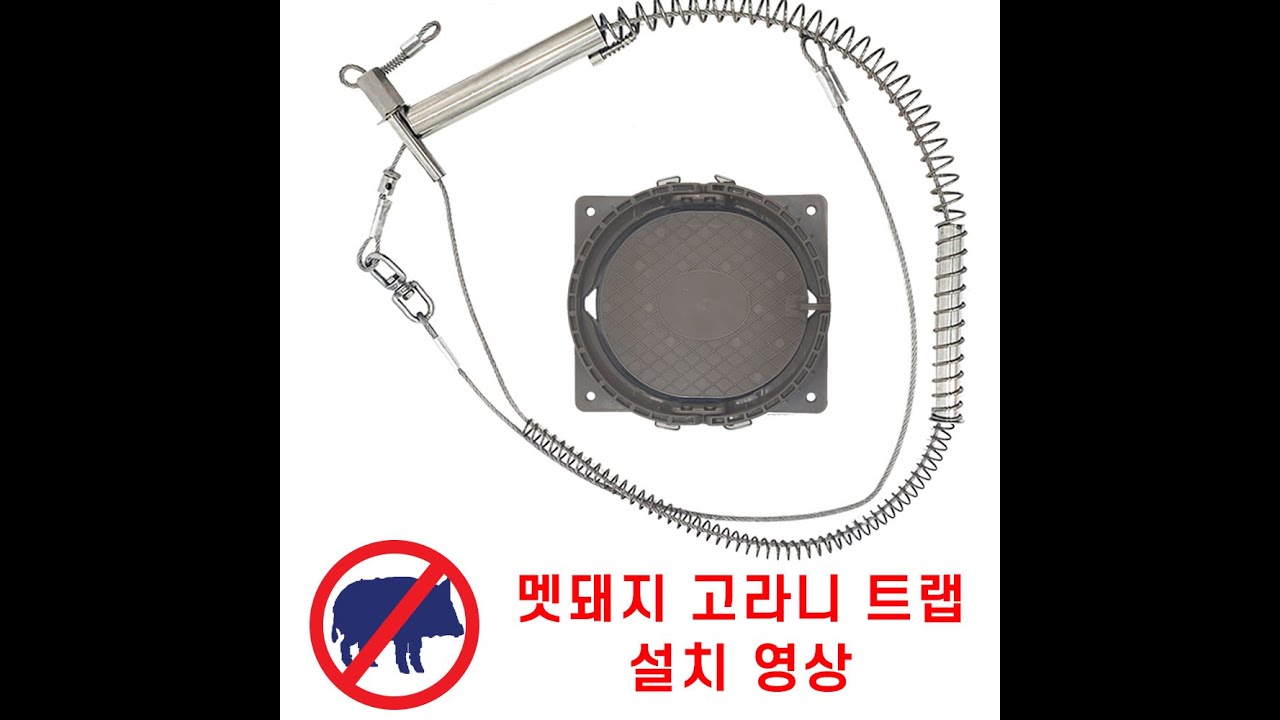 멧돼지 사냥 멧돼지 고라니 트랩 올무 설치 영상