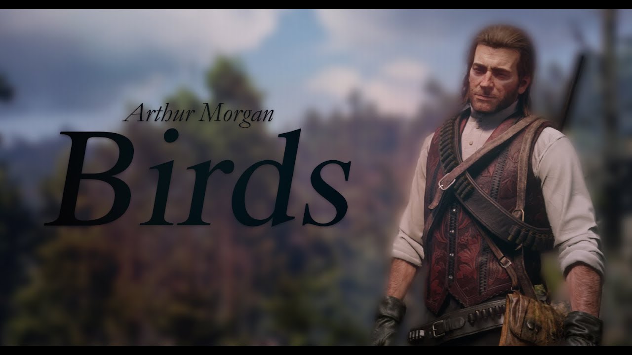 [GMV] Arthur Morgan - Red Dead Redemption 2 -  Birds