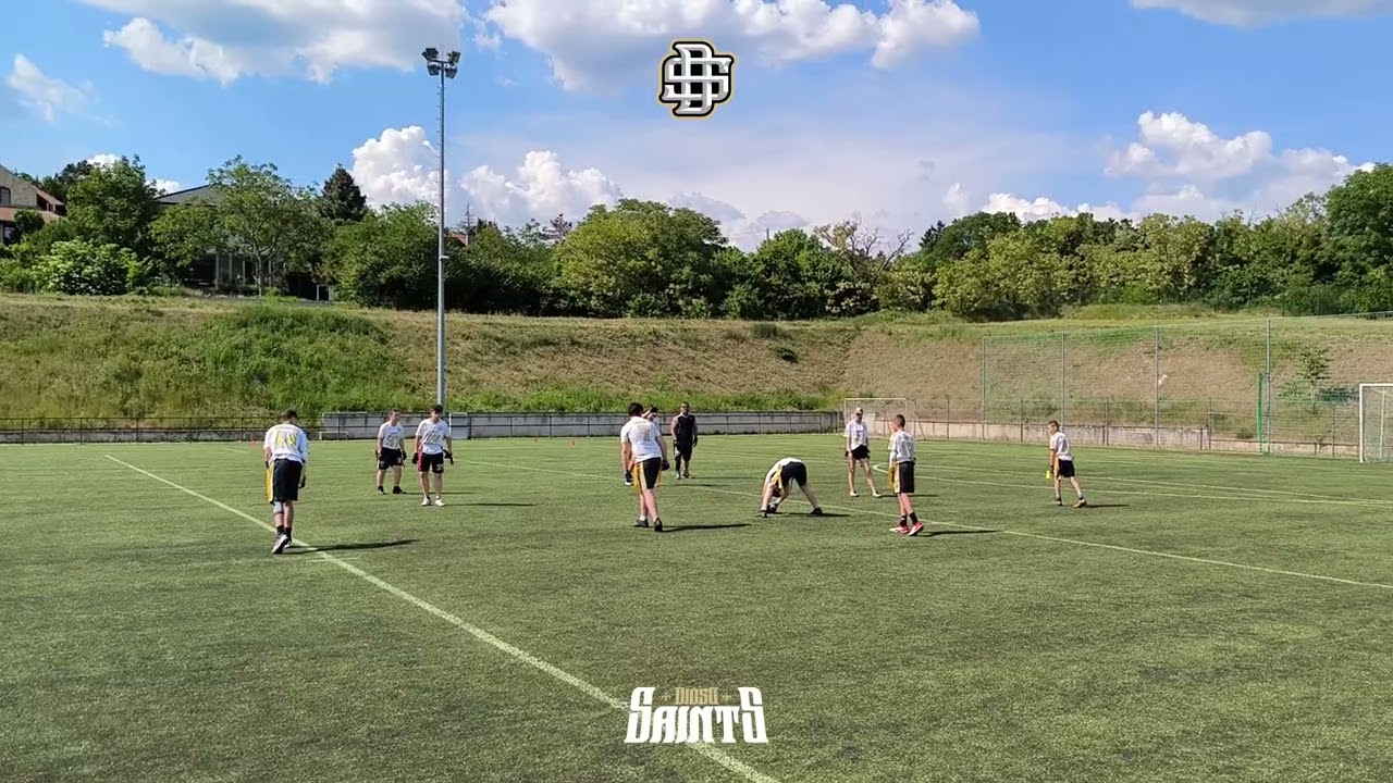 Di&oacute;sd Saints Flag m&aacute;jusi edz&eacute;s 3