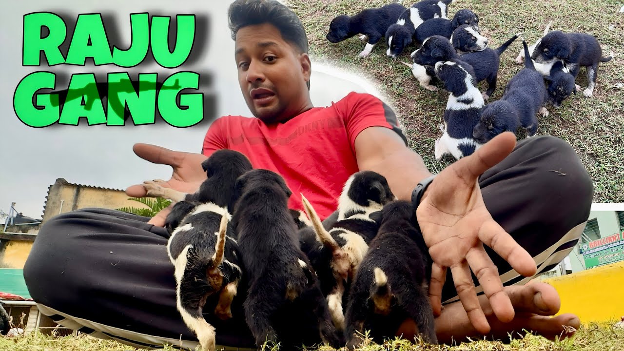 ଚାଲି ଶିଖିଲେ RAJU GANG ଆଖି ବି ଫିଟି ଗଲା WOW 😮 || 