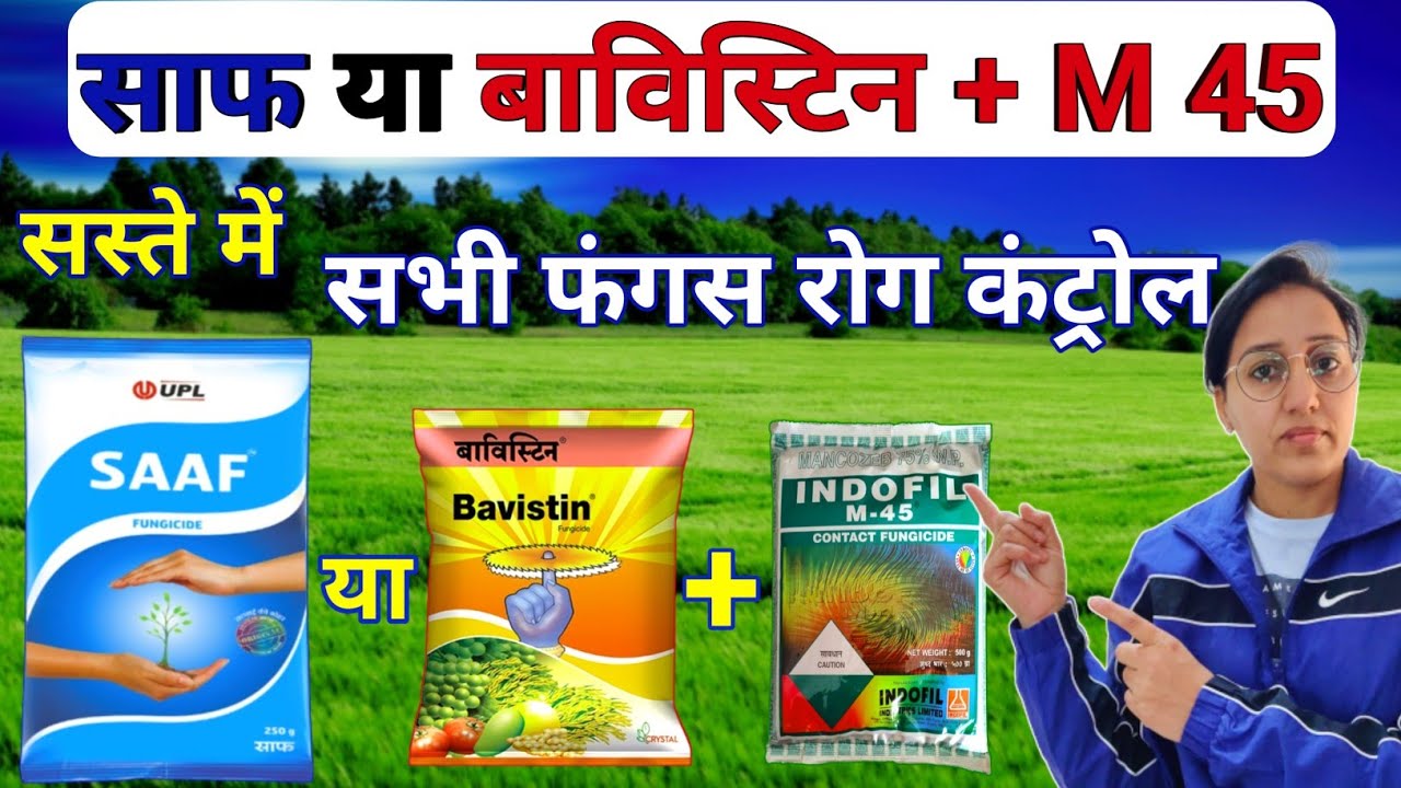 Saaf vs Bavistin+M45 | upl saaf fungicide uses | bavistin fungicide | indofil m45 | Fungicide