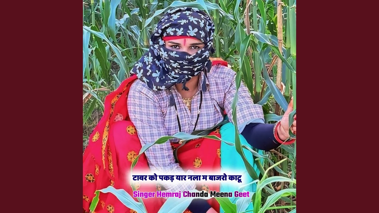 टावर को पकड़ यार नला म बाजरो काटू