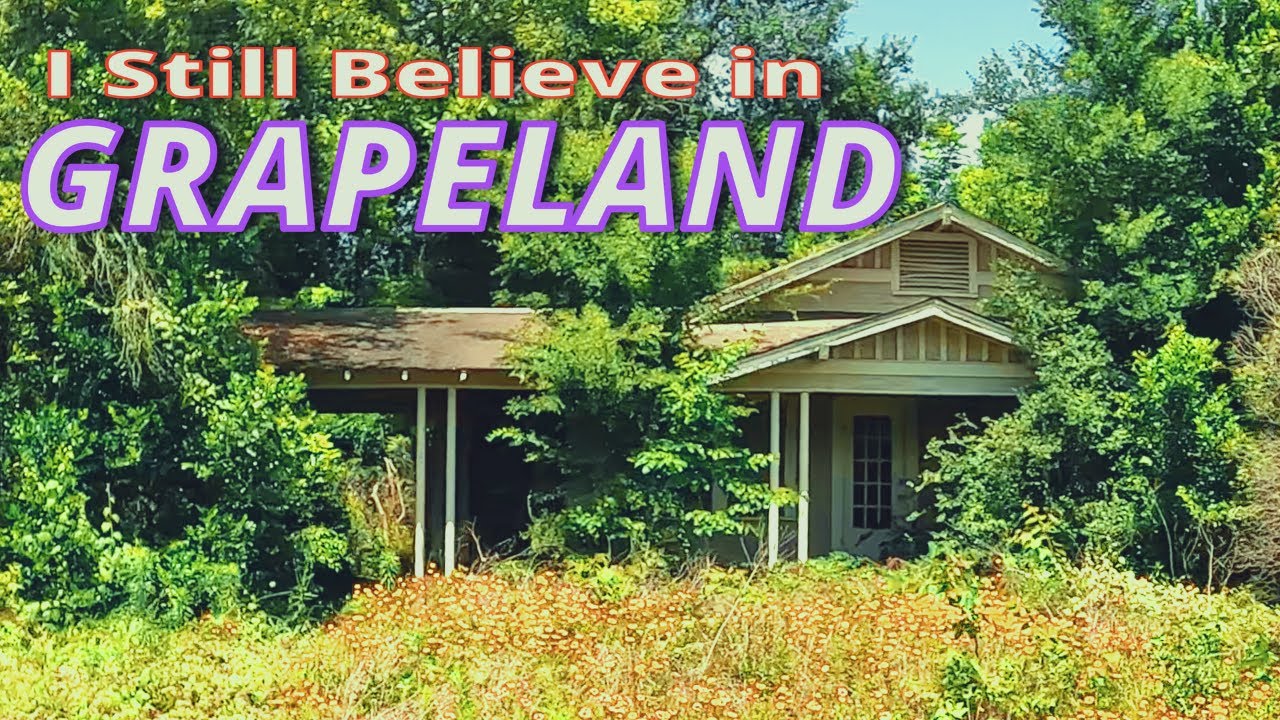 GRAPELAND TEXAS: DUST DEVILS?