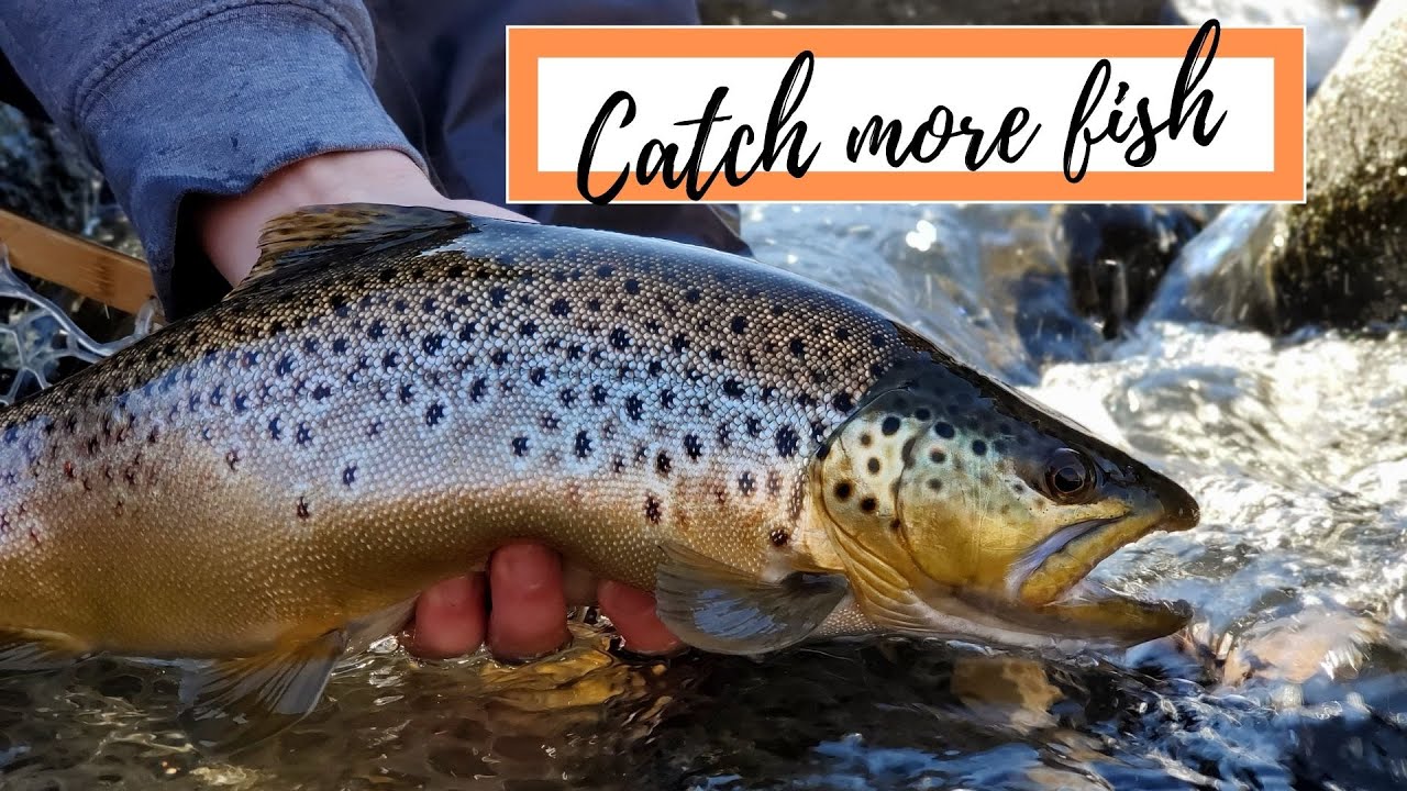 These Boise River Flies Catch Trout FAST!