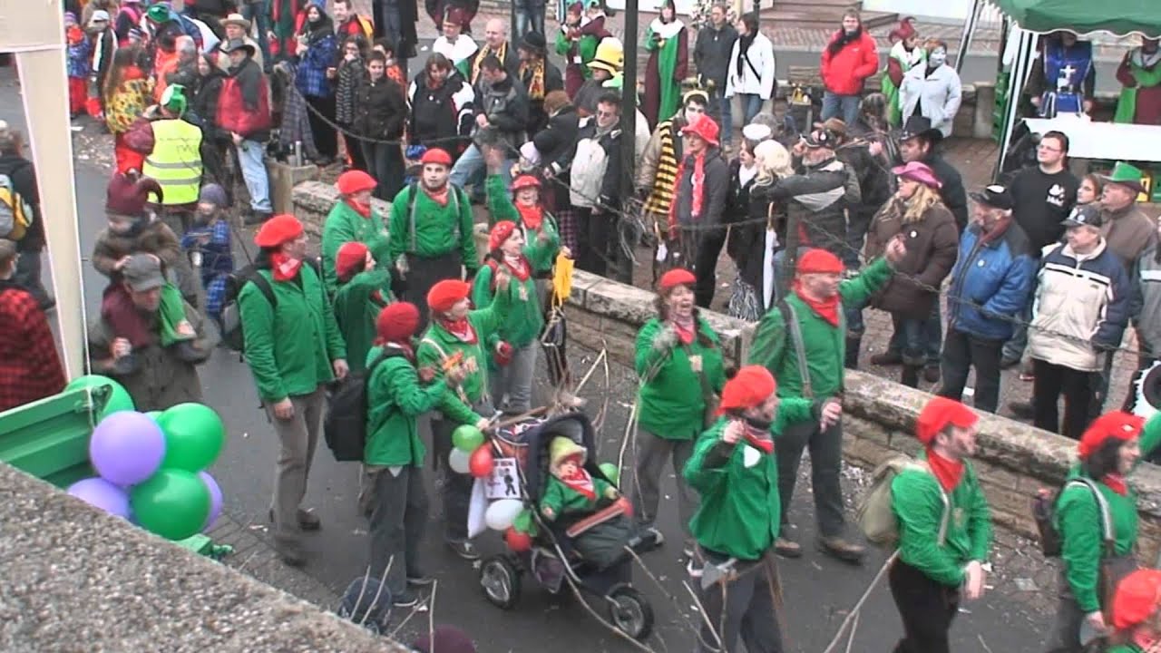 33.Fränkisches Narrentreffen in Höpfingen 