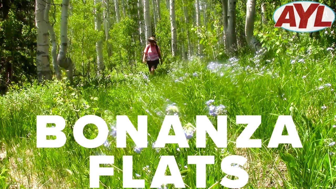 Bonanza Flats