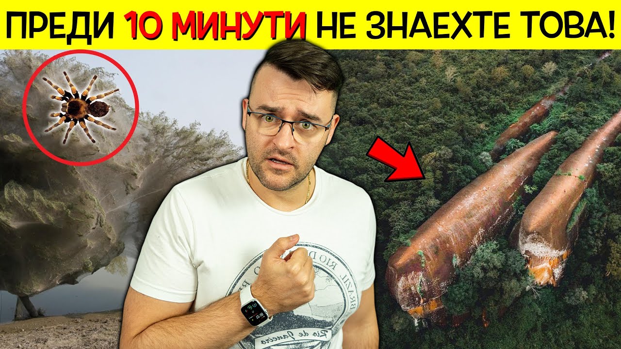 11 НЕОБИКНОВЕНИ НЕЩА, които НЕ ЗНАЕХТЕ допреди 10 минути