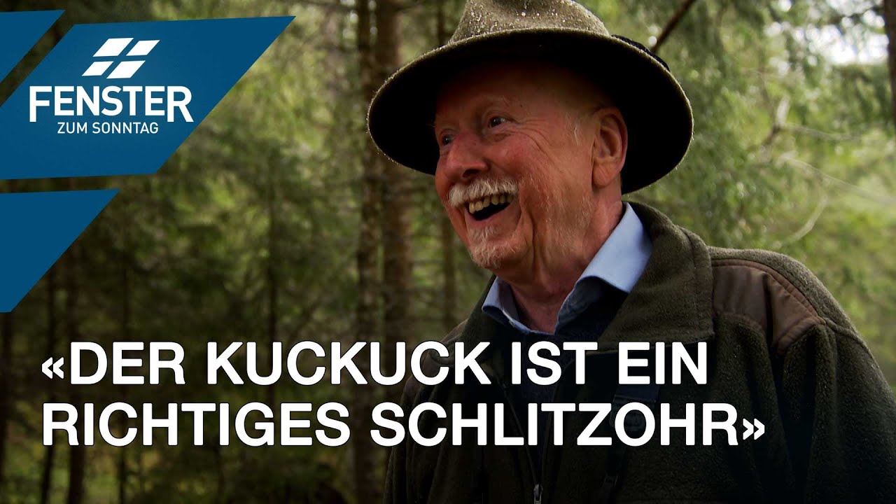 Das wundersame Leben des Kuckucks (erkl&auml;rt von Bert In&auml;bnit)