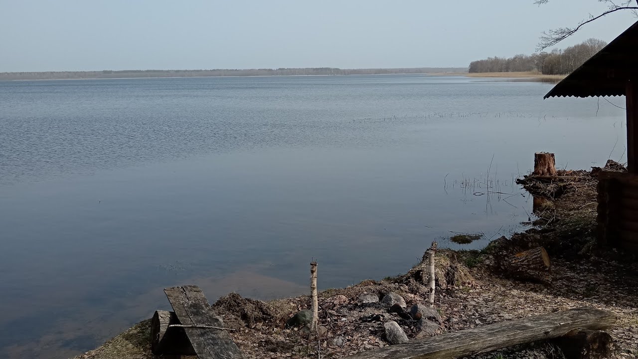 🏕️БЕЛАРУСКАЯ деревенька на самом. БОГИНО, УСТЬЕ. БОГИНСКОЕ ОЗЕРО. ДРИСВЯТКА. ВИДЗЫ.3я СЕРИЯ 1 Апреля