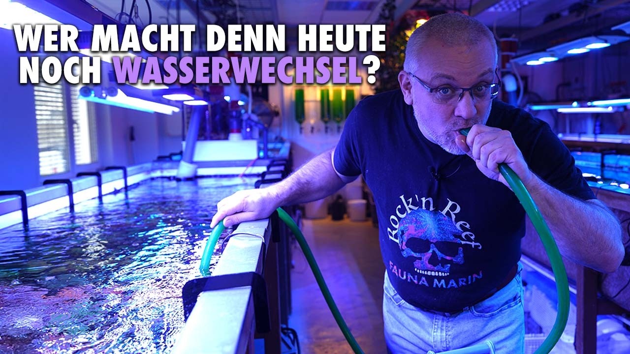 WASSERWECHSEL im AQUARIUM- Ja oder Nein? Claude hat (mal wieder) eine andere Meinung!