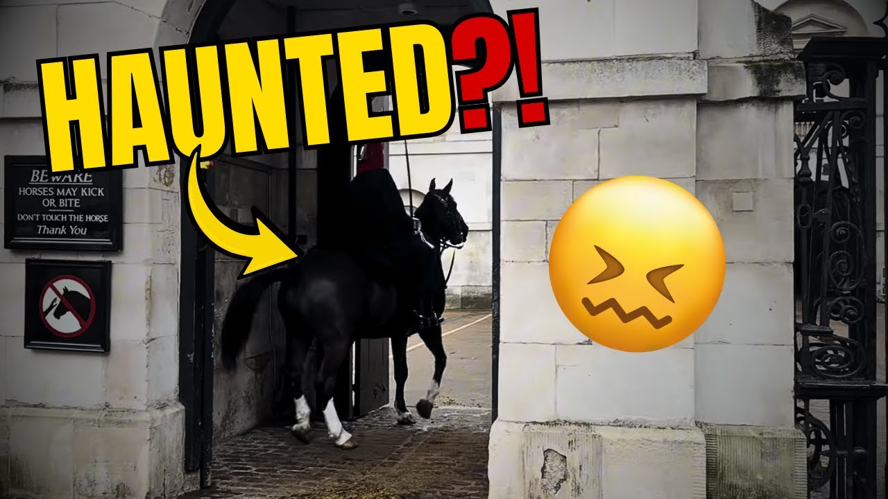 KING’S HORSE FREAKS OUT!