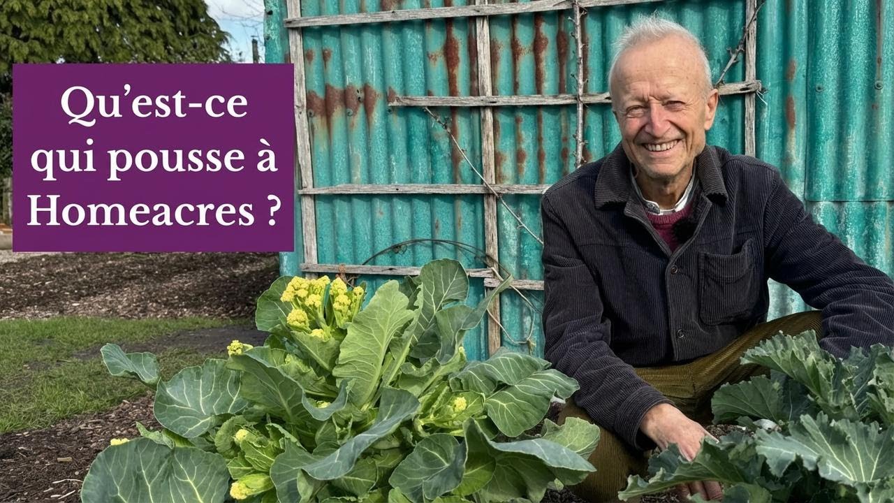 Visite du jardin en février : des pousses inattendues en plein hiver ! Méthode sans labour