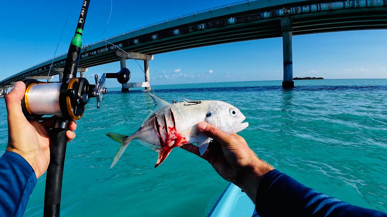Kayak Shark Fishing in the Florida Keys | Indian Key Bridge