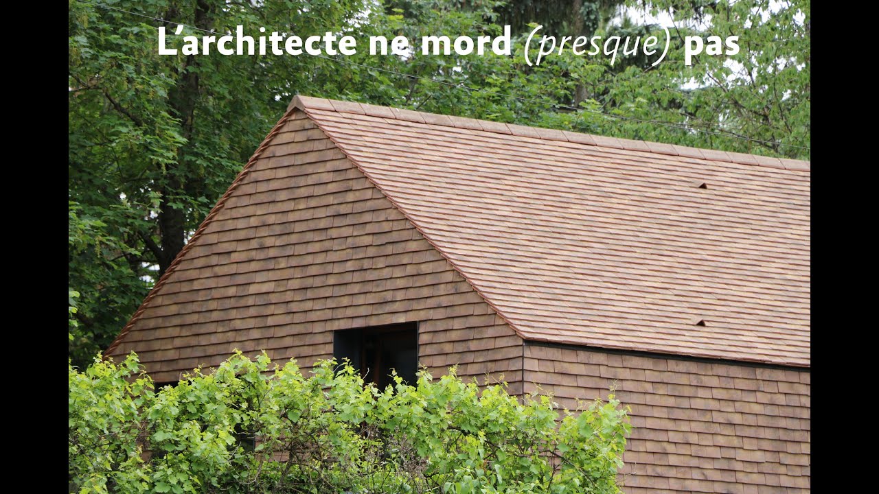 L'architecte ne mord (presque) pas - Maison à Beaune (21)