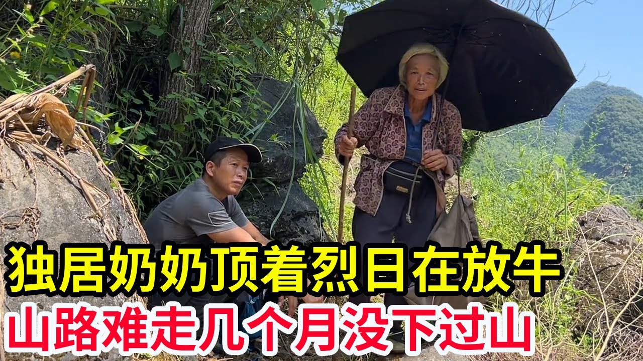 78岁独居奶奶顶着烈日在放牛，山路难走几个月没下过山，东西坏了也在凑合用【山农乐哥】