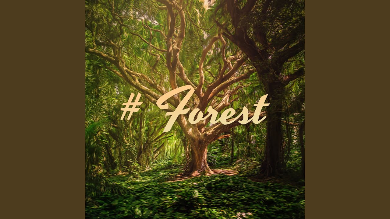 Hypnotic Forest