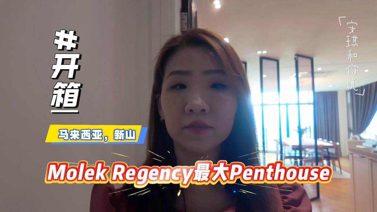 开箱新山豪华公寓- Molek Regency Penthouse
