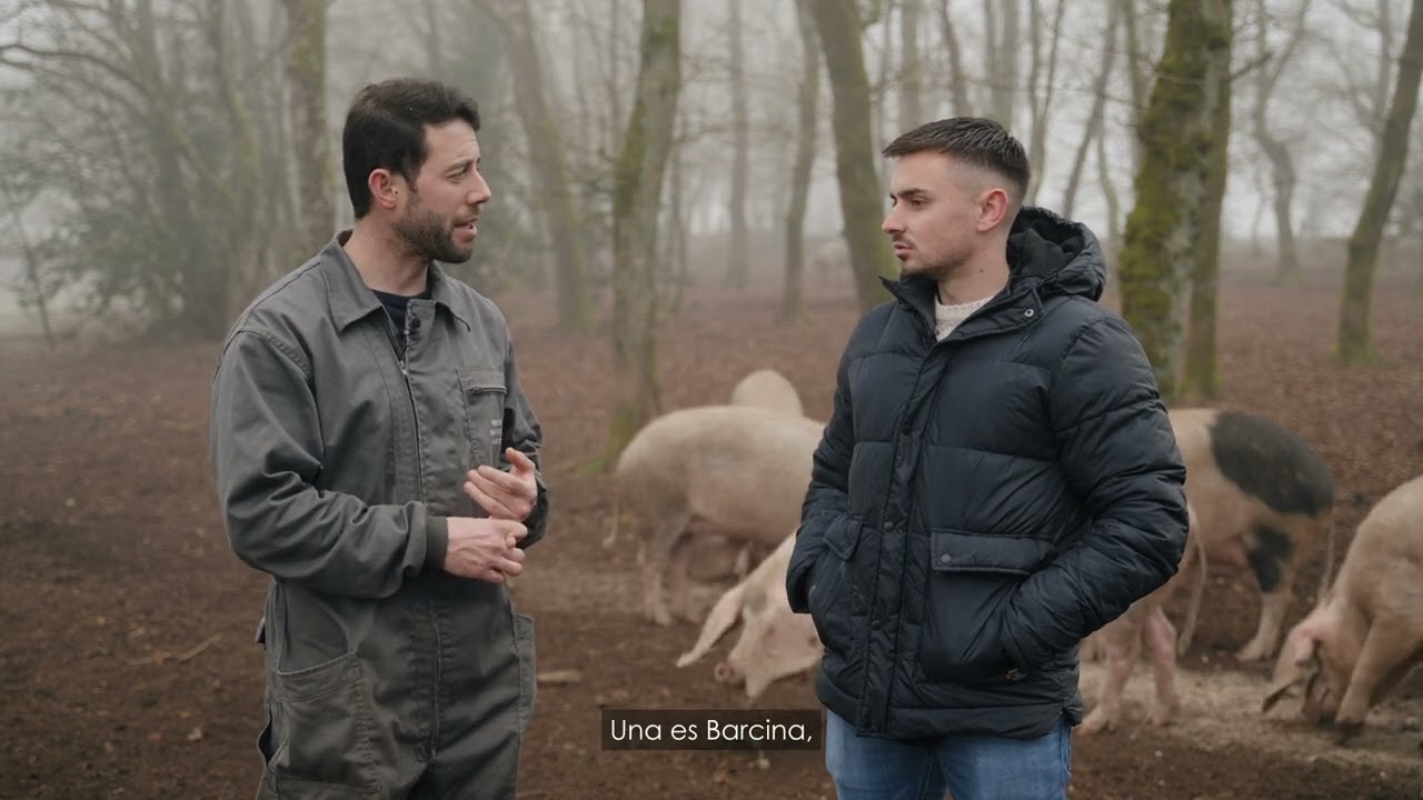 Fraga do Coto: cr&iacute;a y divulgaci&oacute;n del porco celta en Galicia