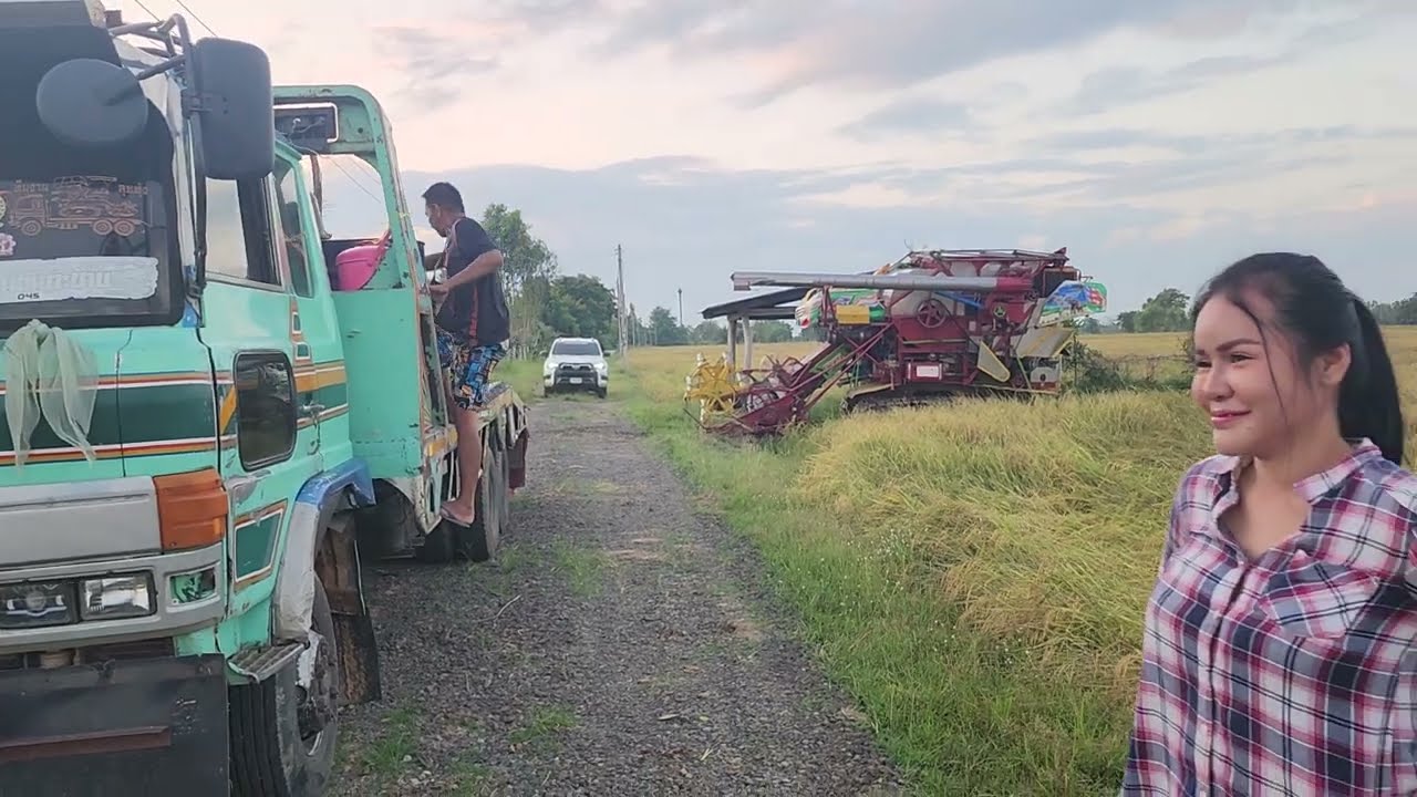 สาวป๊อปย้ายหน้างานเกี่ยว กข15 50ไร่🌾09.00น.พร้อมจ๊วด👍ฝากติดตาม🙏🏻