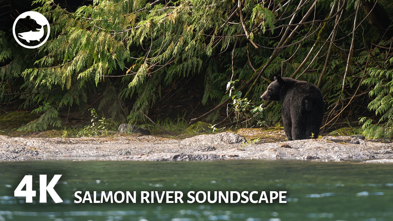 4K Salmon River Soundscape