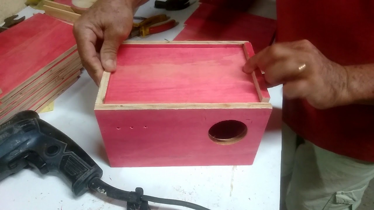 Tamanho ideal para ninho de periquito