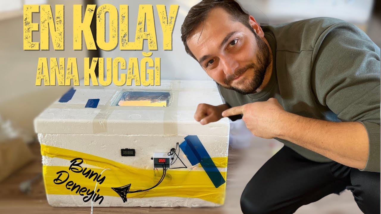 ЛЕГКИЙ СТРОИТЕЛЬСТВО БРУДЕРА - ПЕТУШКИ РАСТУТ БЫСТРО В ЭТОЙ КЛЕТКЕ! 🐣