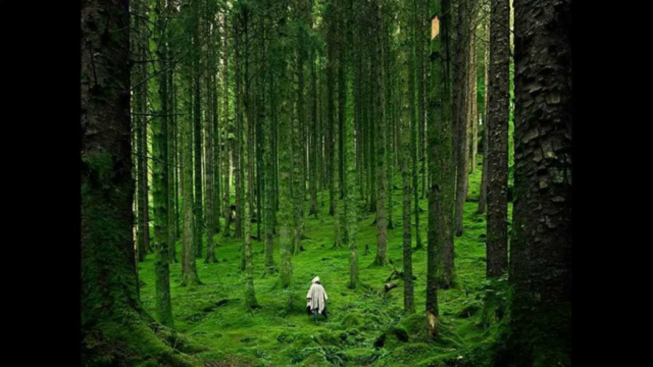Seosamh Ó hÉanaí (Sean Nos Singing)