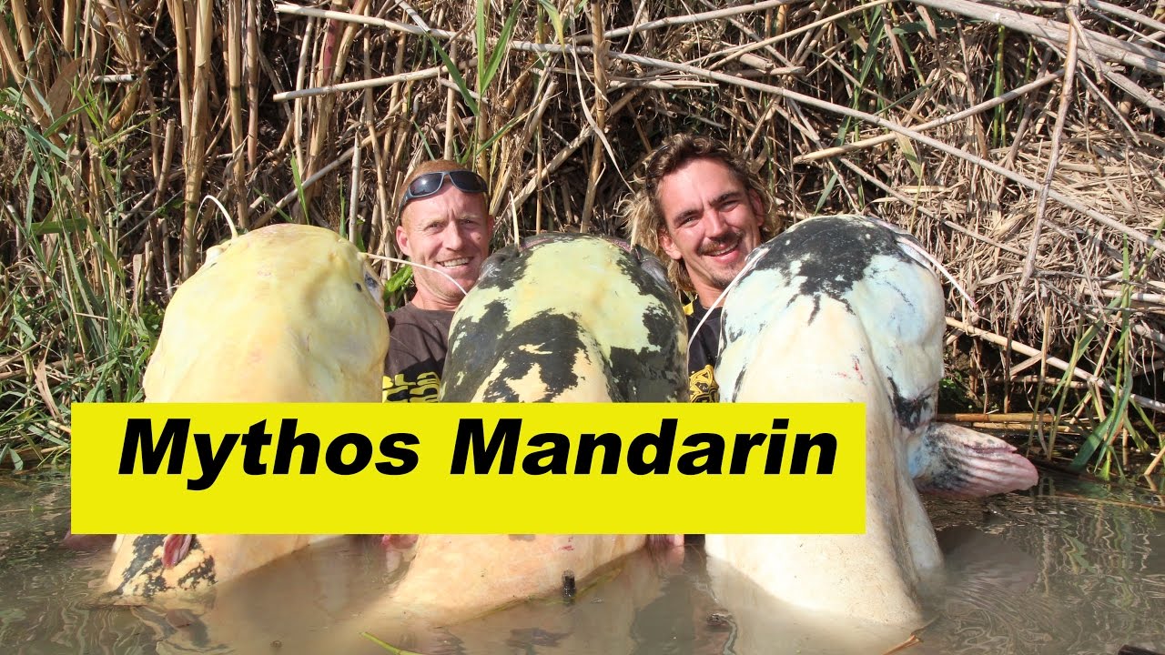 Mythos Mandarin Waller 