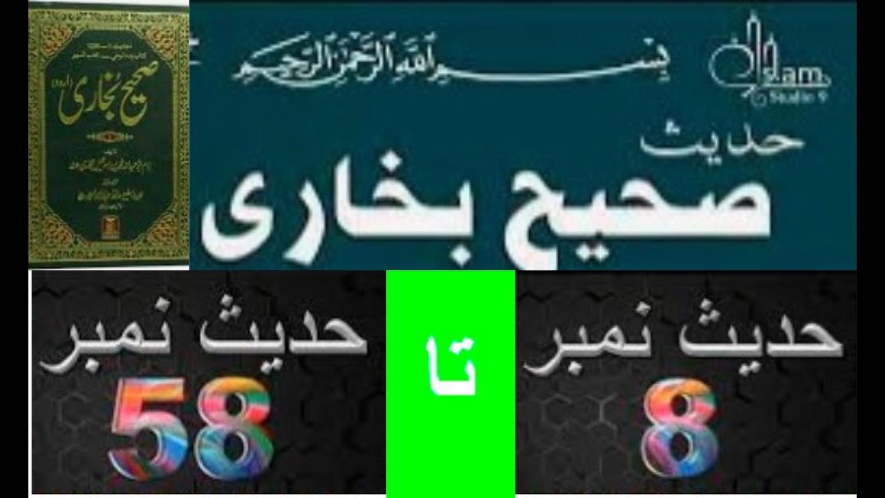 Sahih Bukhari | Chapter No. 2  | Hadees No. 8 to 58 | ki Urdu Translation