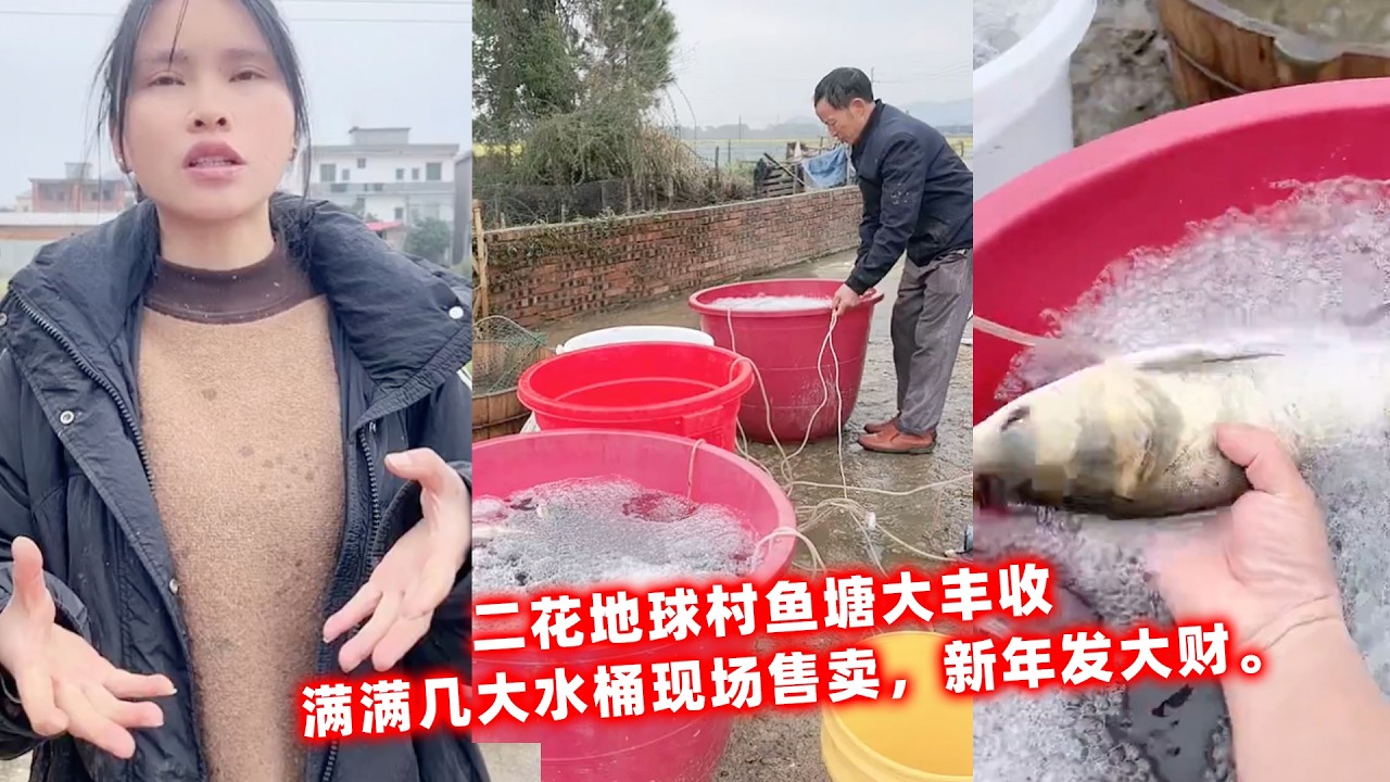 二花地球村鱼塘大丰收，满满几大水桶现场售卖，新年发大财。