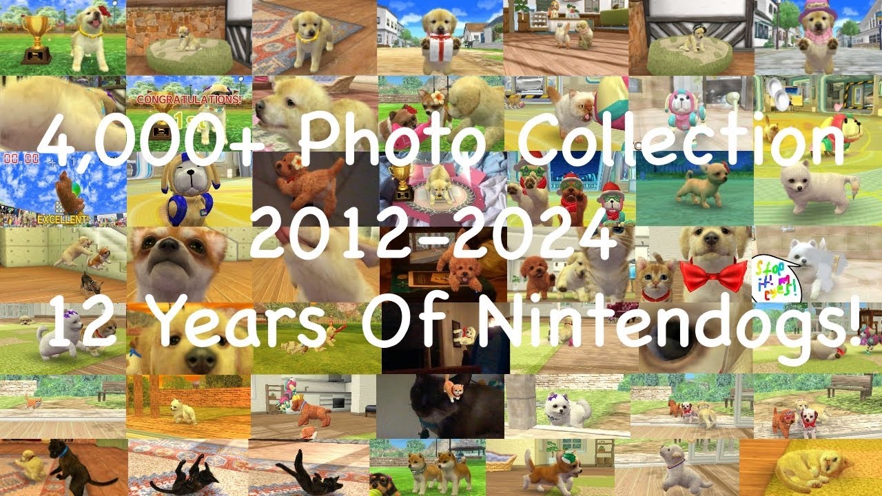 ALL My Nintendogs + Cats Photos 4,000+, 2012-2024 - My DS Gallery