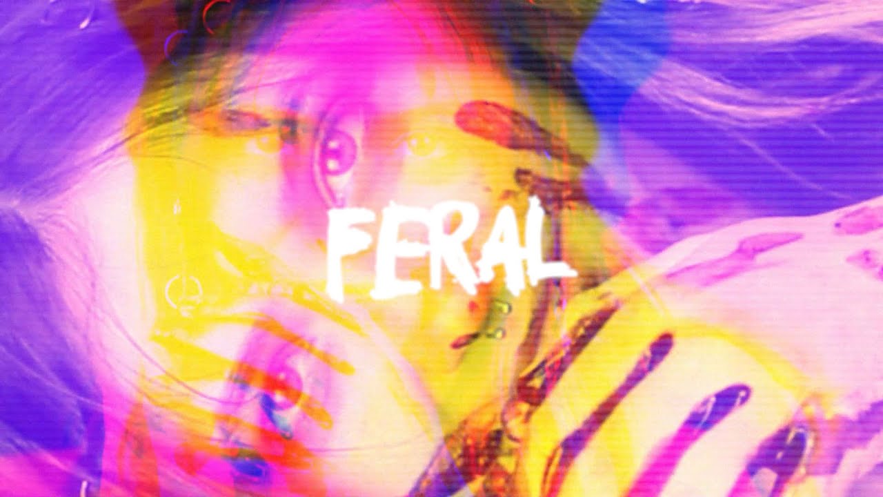 feral - aryy (lyric video)