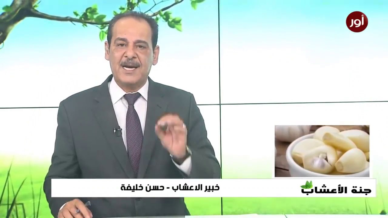 فوائد الثوم على الريق: ستذهلك مع خبير الاعشاب حسن خليفة - جنة الاعشاب