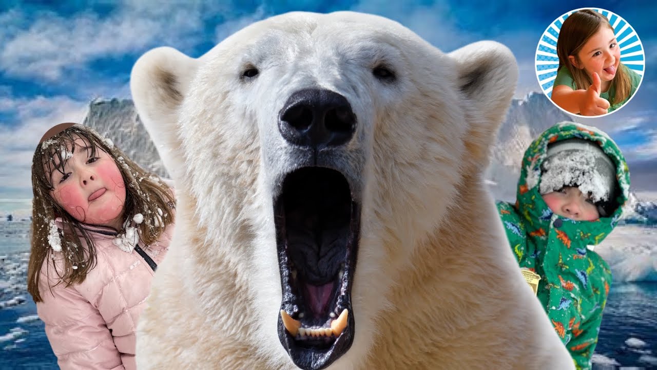 We’re Going on a Polar Bear Hunt! #bearhunt