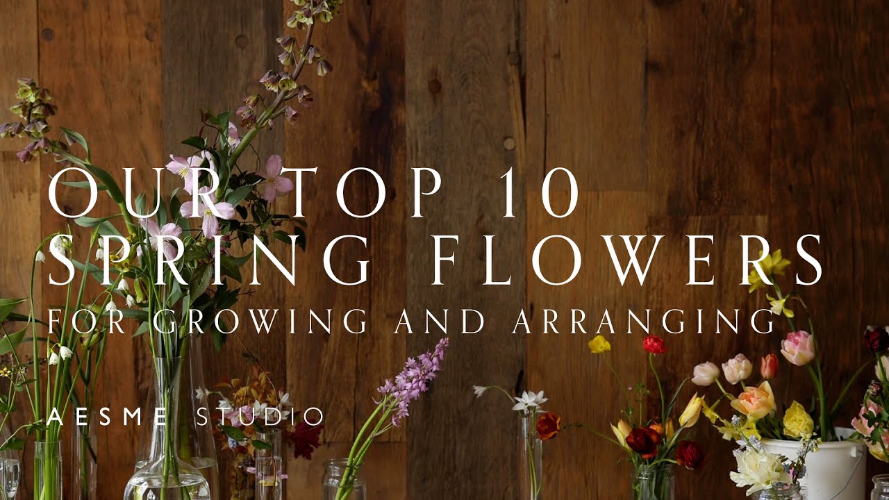 Our Top 10 Spring Flowers for Growing & Arranging