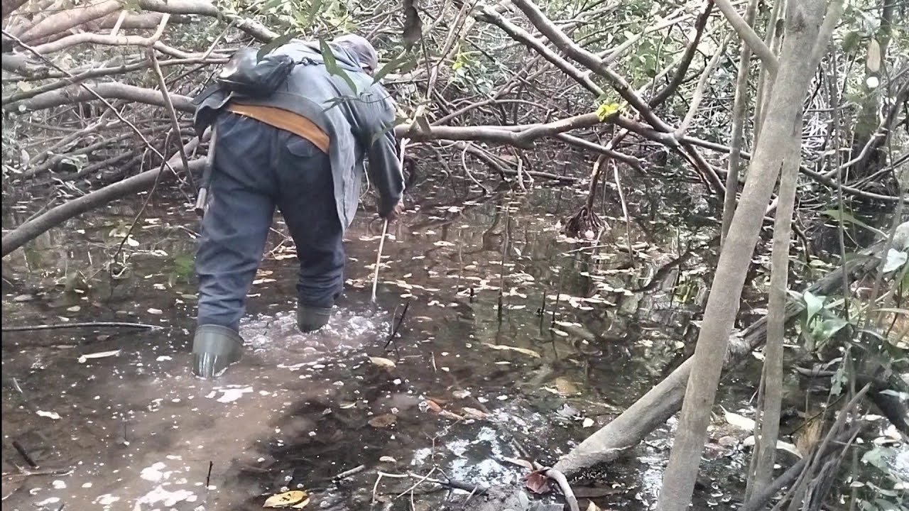 najur lembat dalam hutan rawa...!tidak pernah terbayangkan hasilnyapun besar² 😱