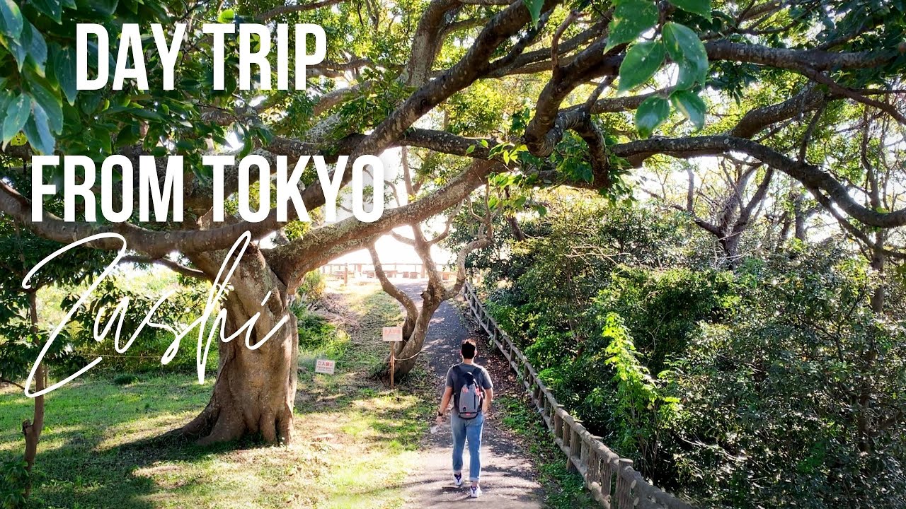 Tokyo Vlog: Day Trip to Zushi, Kanagawa | 逗子 神奈川県