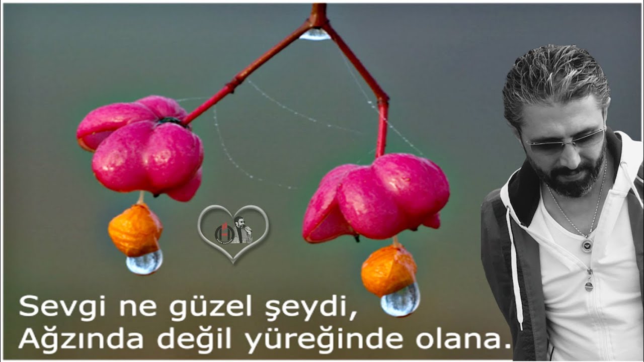 Sevgi ne güzel şeydi, Dilinde değil yüreğinde olana // ömer hançeri