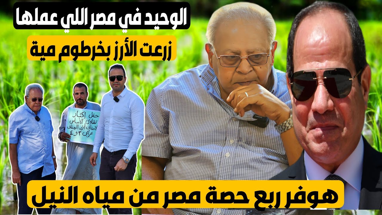 لأول مرة- إبتكار جديد في زراعة الأرز - توفير نصف الأسمدة و المياه - صنف جديد يغزو السوق المصري