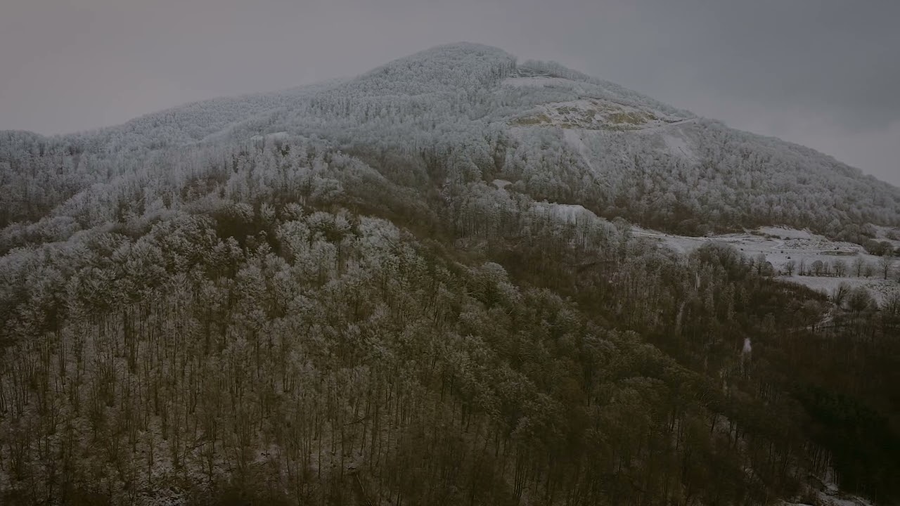 Valea Lunga (Alba)